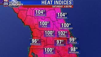 Image result for Florida Heat