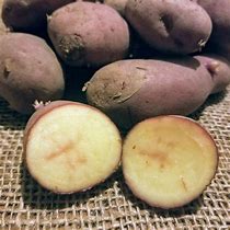 Image result for French Fingerling Organic Potatoes