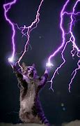 Image result for Lightning Cat