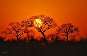 Image result for Afrika Sonnenuntergang Bilder