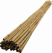 Image result for Bamboo Plant Supports
