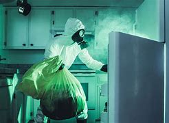 Image result for Cleaning Dirty Refrigerator