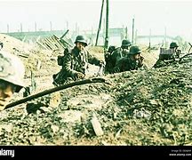 Image result for Stalingrad WWII