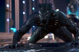 Image result for Black Panther Combat