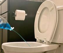 Image result for How to Unclog Toilet Bowel Movement