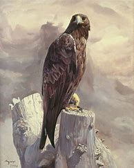 Image result for Cool Eagle Art