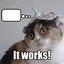 Image result for Animals with Tin Foil Hat