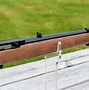 Image result for 22 Cal Rifle