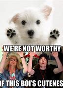 Image result for We Are Not Worthy Meme