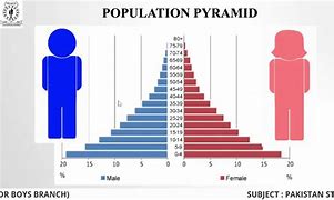 Image result for Pakistan Demography
