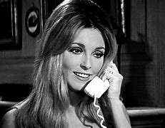 Image result for Famous Pictures of Sharon Tate