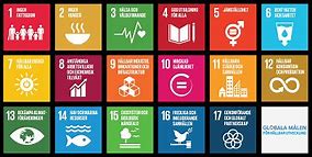 Bildresultat för global mål enligt agenda 2030