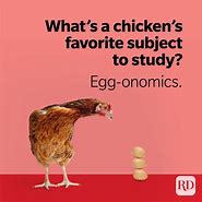 Image result for Funny Chicken Egg Sayings