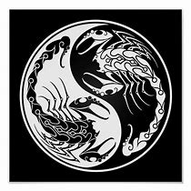 Image result for Scorpion Ying Yang