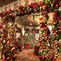 Image result for Christmas Tree and House
