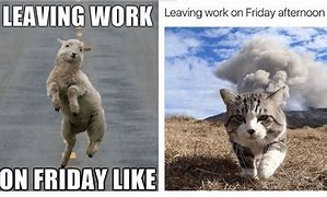 Image result for Funny and Hilarious Images of Leaving Work On Friday