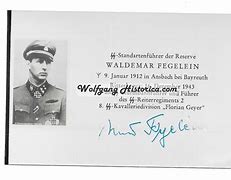 Image result for Waldemar Fegelein