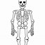 Image result for Skeleton Line Art
