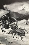 Image result for Scorpion Print