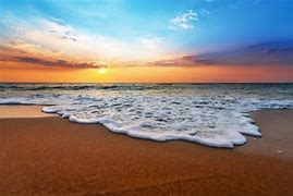 Image result for Things to Do Near Grayton Beach