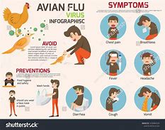 Image result for Avian Flu Signage