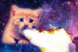 Image result for Awesome Fire Cat