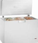 Image result for Chest Freezer for Ice Cream