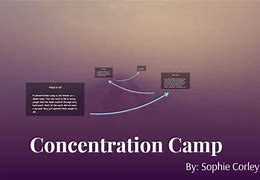 Image result for WW2 Concentration Camp