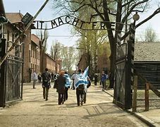 Image result for Auschwitz-Birkenau Museum