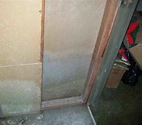 Image result for Mold Damage In-House