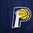 Image result for Pacers Jeresy