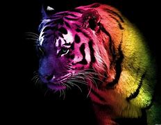 Image result for Cool Light Tiger Wallpaper