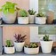 Image result for Outdoor Plant Shelves