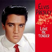Image result for Set in Love Me Tender Elvis