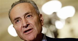 Image result for Carl Schumer