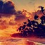 Image result for 4K Wallpaper Nature Tropical