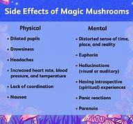 Image result for Shrooms Effects
