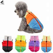 Image result for Puppy Jacket