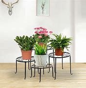 Image result for Wrought Iron Pot Plant Stands