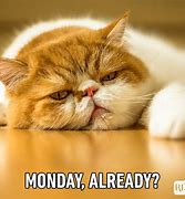 Image result for Monday Work Issues Meme