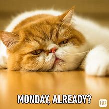 Image result for It's Monday MEME Funny