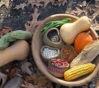 Image result for Tribe Food