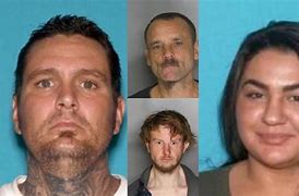 Image result for California Most Wanted Fugitives