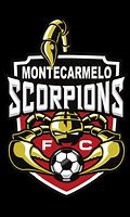 Image result for Scorpions Soccer Logo