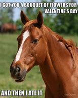 Image result for Horse Valentine Quotes Funny