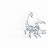 Image result for Scorpion Design Abstract