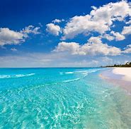 Image result for Best Beach in Florida 2012