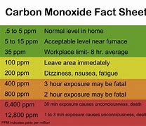 Image result for People Die New Because of Carbon Monoxide