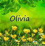 Image result for Baby Girl Name Olivia