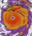 Image result for Hurricane Frequency Map